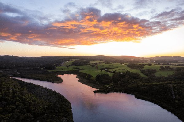 DJI_0359