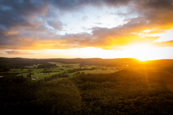 DJI_0374